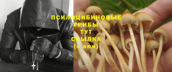 дурь Лабытнанги