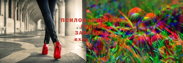 соль ск Ладушкин