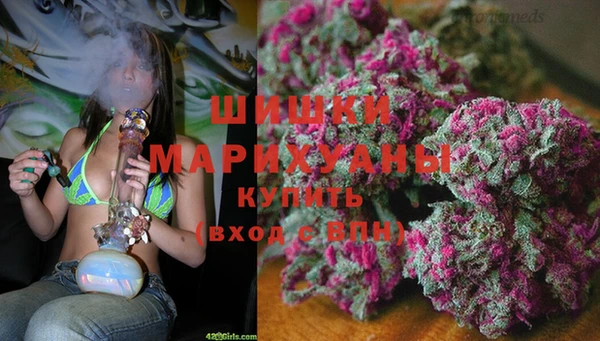 мдпв Лихославль