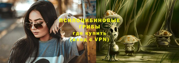 дурь Лабытнанги