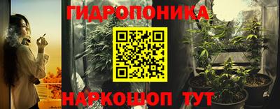 марихуана Кингисепп