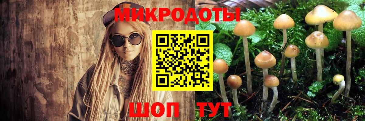 Галлюциногенные грибы мицелий Нижнеудинск