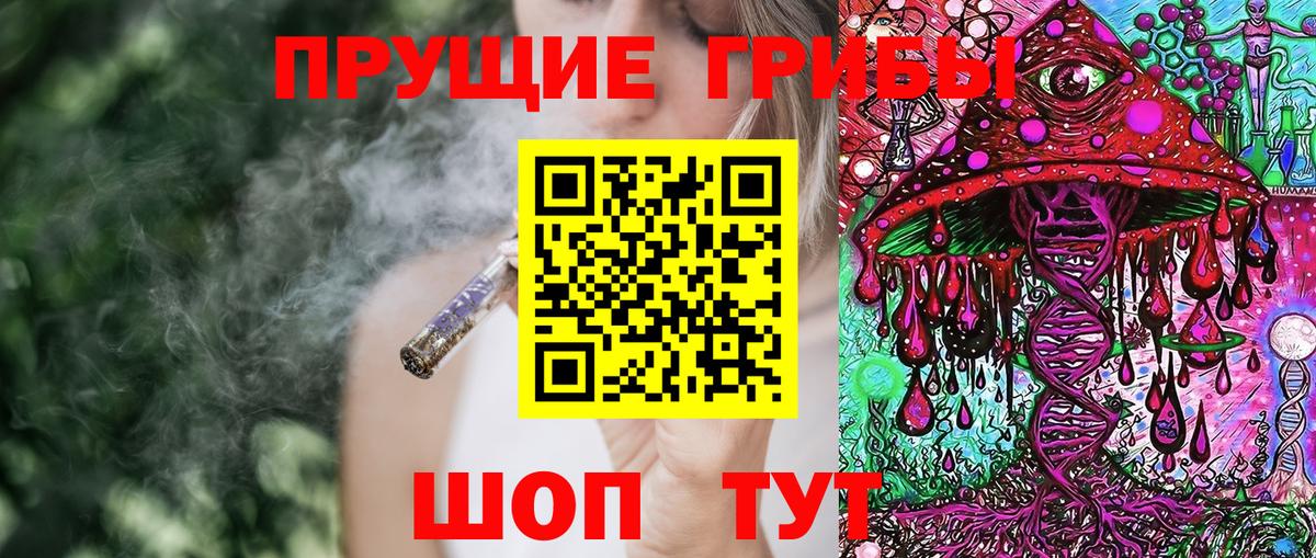 Нижнеудинск  Псилоцибиновые грибы Cubensis  Вход с VPN 